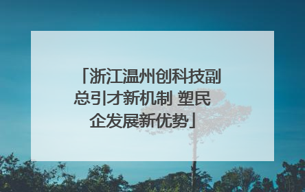 浙江温州创科技副总引才新机制 塑民企发展新优势