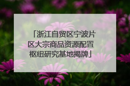 浙江自贸区宁波片区大宗商品资源配置枢纽研究基地揭牌