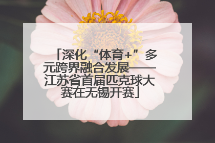 深化“体育+”多元跨界融合发展——江苏省首届匹克球大赛在无锡开赛