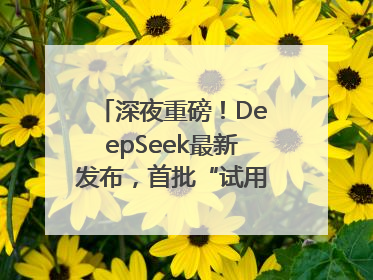 深夜重磅！DeepSeek最新发布，首批“试用体验”出炉→