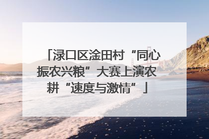渌口区淦田村“同心振农兴粮”大赛上演农耕“速度与激情”