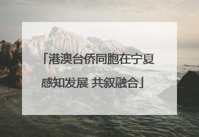 港澳台侨同胞在宁夏感知发展 共叙融合