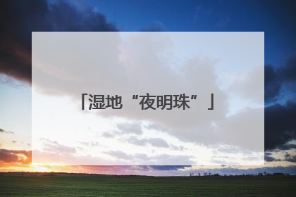湿地“夜明珠”