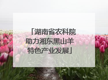 湖南省农科院助力湘东黑山羊特色产业发展