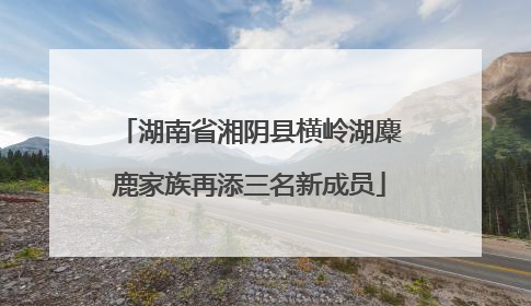 湖南省湘阴县横岭湖麋鹿家族再添三名新成员