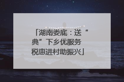 湖南娄底：送“典”下乡优服务 税惠进村助振兴