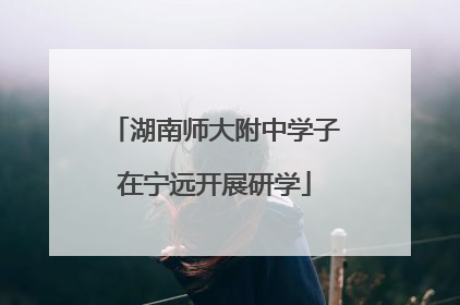 湖南师大附中学子在宁远开展研学