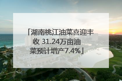 湖南桃江油菜喜迎丰收 31.24万亩油菜预计增产7.4%