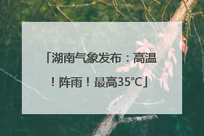 湖南气象发布：高温！阵雨！最高35℃