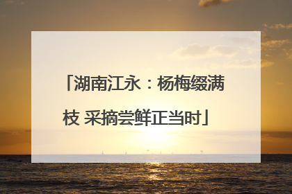 湖南江永：杨梅缀满枝 采摘尝鲜正当时