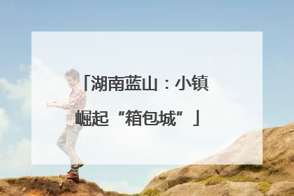 湖南蓝山：小镇崛起“箱包城”