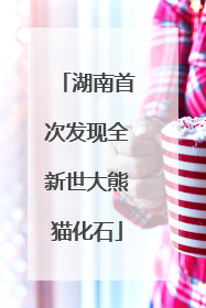 湖南首次发现全新世大熊猫化石