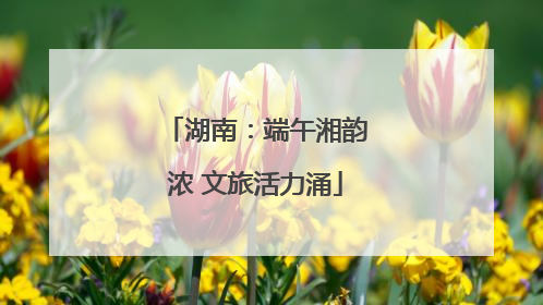 湖南：端午湘韵浓 文旅活力涌