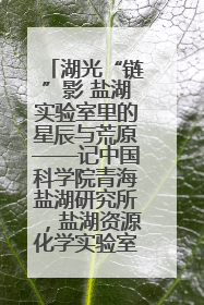湖光“链”影 盐湖实验室里的星辰与荒原——记中国科学院青海盐湖研究所，盐湖资源化学实验室党总支书记、副主任刘忠
