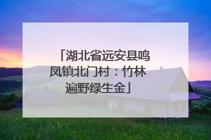 湖北省远安县鸣凤镇北门村：竹林遍野绿生金