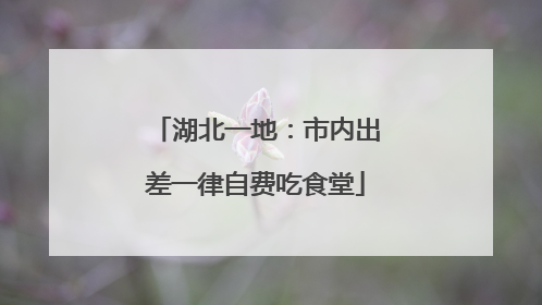 湖北一地：市内出差一律自费吃食堂