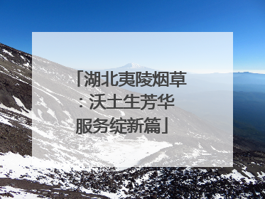 湖北夷陵烟草：沃土生芳华 服务绽新篇