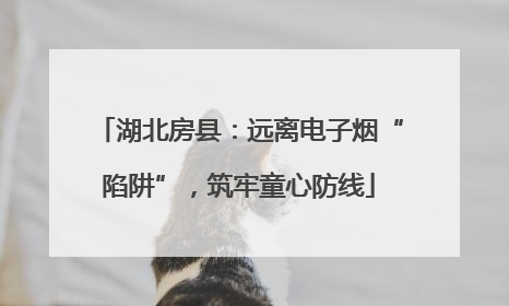 湖北房县：远离电子烟“陷阱”，筑牢童心防线