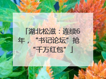 湖北松滋：连续6年，“书记论坛”抢“千万红包”