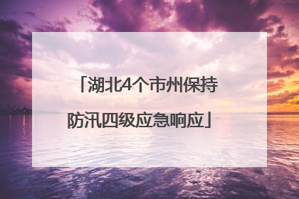 湖北4个市州保持防汛四级应急响应