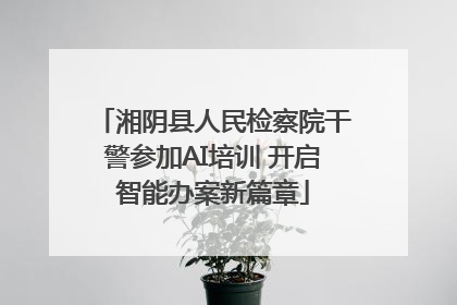 湘阴县人民检察院干警参加AI培训 开启智能办案新篇章