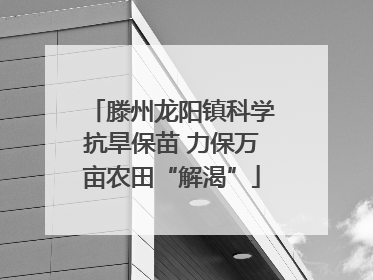 滕州龙阳镇科学抗旱保苗 力保万亩农田“解渴”