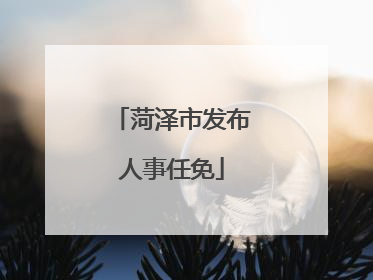 菏泽市发布人事任免