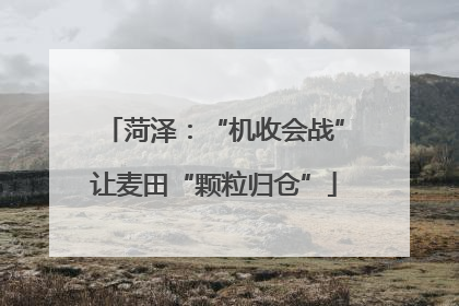 菏泽：“机收会战”让麦田“颗粒归仓”
