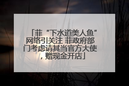 菲“下水道美人鱼”网络引关注 菲政府部门考虑请其当官方大使，赠现金开店