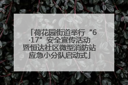 荷花园街道举行“6·17”安全宣传活动暨恒达社区微型消防站应急小分队启动式
