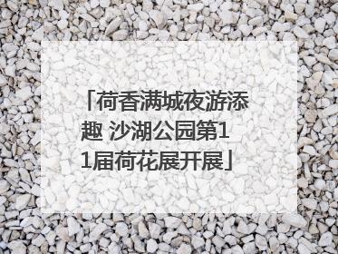 荷香满城夜游添趣 沙湖公园第11届荷花展开展
