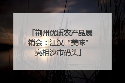 荆州优质农产品展销会：江汉“美味”亮相沙市码头