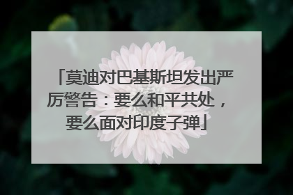 莫迪对巴基斯坦发出严厉警告：要么和平共处，要么面对印度子弹