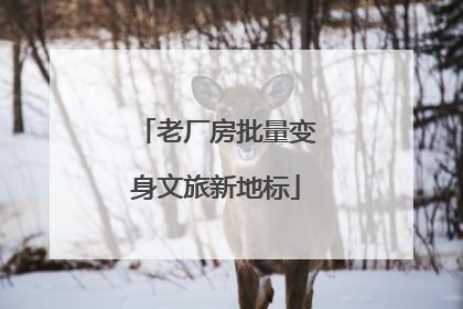 老厂房批量变身文旅新地标