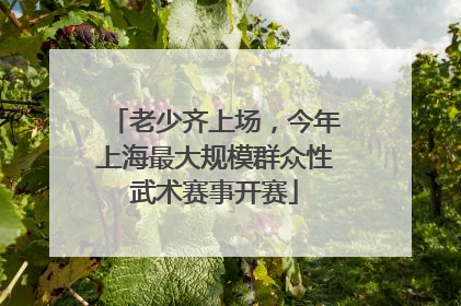 老少齐上场，今年上海最大规模群众性武术赛事开赛