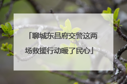 聊城东昌府交警这两场救援行动暖了民心