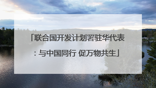 联合国开发计划署驻华代表：与中国同行 促万物共生