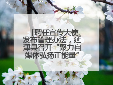 聘任宣传大使、发布管理办法，延津县召开“聚力自媒体弘扬正能量”联席会
