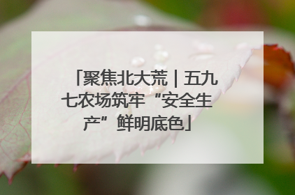 聚焦北大荒｜五九七农场筑牢“安全生产”鲜明底色