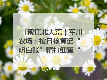 聚焦北大荒｜军川农场：按月核算记“明白账”精打细算“过紧日子”