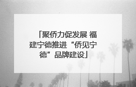 聚侨力促发展 福建宁德推进“侨见宁德”品牌建设