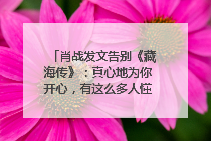 肖战发文告别《藏海传》：真心地为你开心，有这么多人懂你，导演回应“是否有第二季”