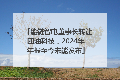 能链智电董事长转让团油科技，2024年年报至今未能发布