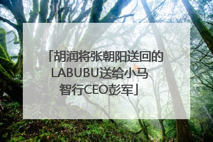 胡润将张朝阳送回的LABUBU送给小马智行CEO彭军