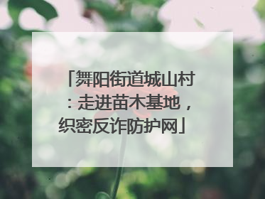 舞阳街道城山村：走进苗木基地，织密反诈防护网