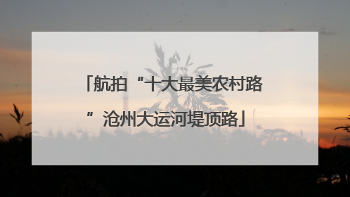 航拍“十大最美农村路”沧州大运河堤顶路