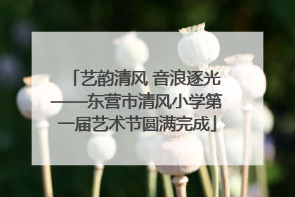 艺韵清风 音浪逐光——东营市清风小学第一届艺术节圆满完成