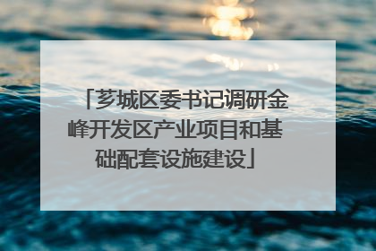 芗城区委书记调研金峰开发区产业项目和基础配套设施建设