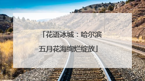 花语冰城：哈尔滨五月花海绚烂绽放