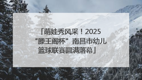 萌娃秀风采！2025“滕王阁杯”南昌市幼儿篮球联赛圆满落幕